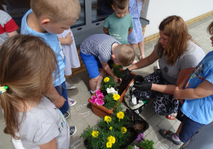 64 Dzieci sadzą kwiaty